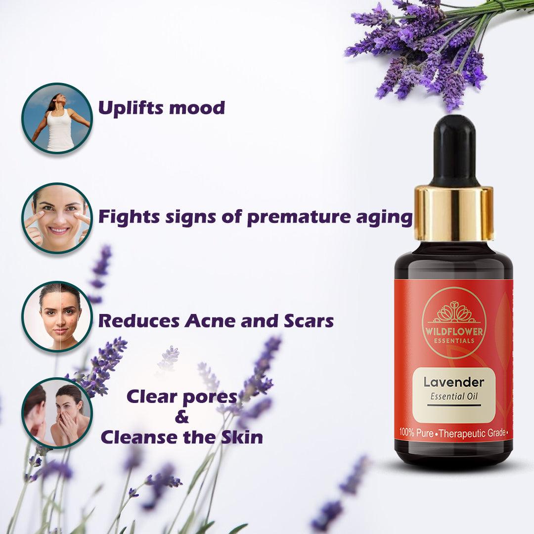 Lavender Essential Oil